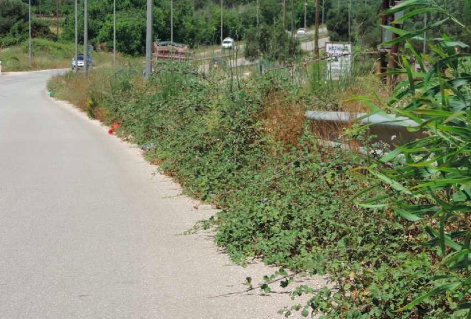 Λαϊκή Συσπείρωση: Ο δρόμος της Κρανιάς Αργοστολίου σε μόνιμα επικίνδυνη κατάσταση