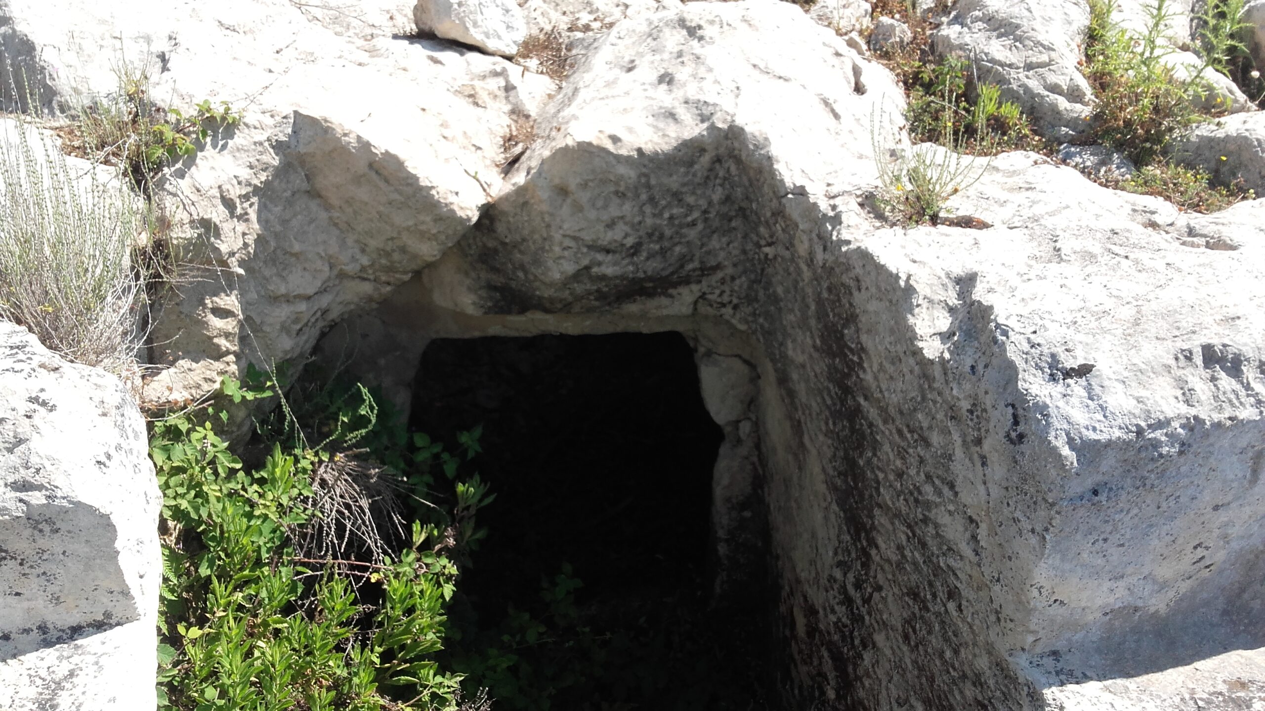 Τάφοι Παλικής ; Τι λέει ο Γ