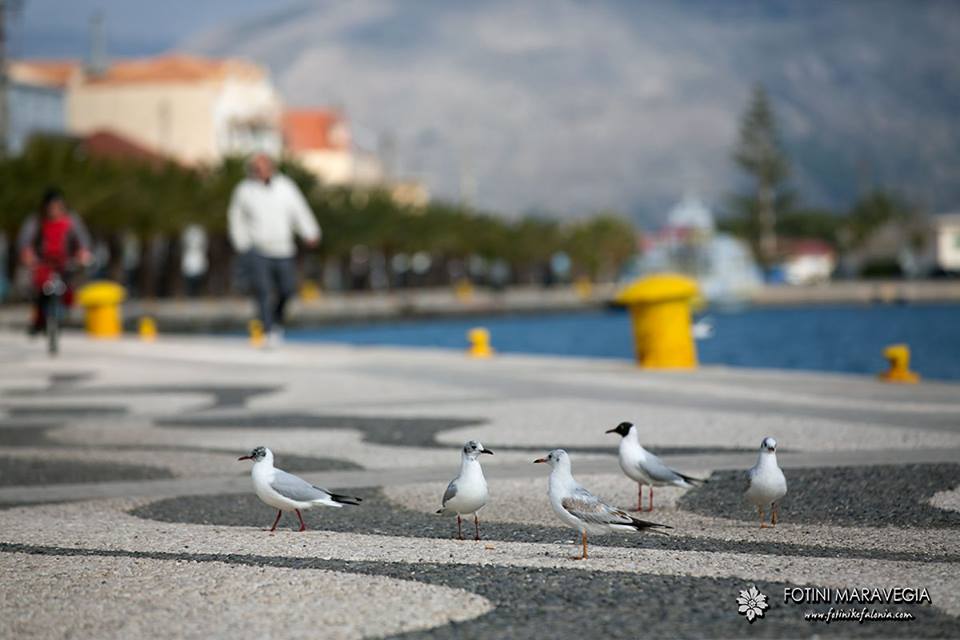Καιρός σήμερα: Σκωτσέζικο ντους με βροχές και καταιγίδες – Πού θα χτυπήσει η κακοκαιρία