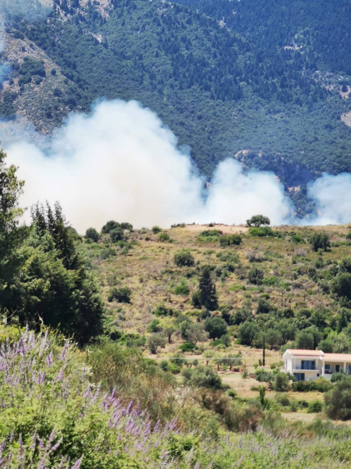 Στο έλεος της φωτιάς η Κεφαλονιά – Εκκενώθηκε Αγ