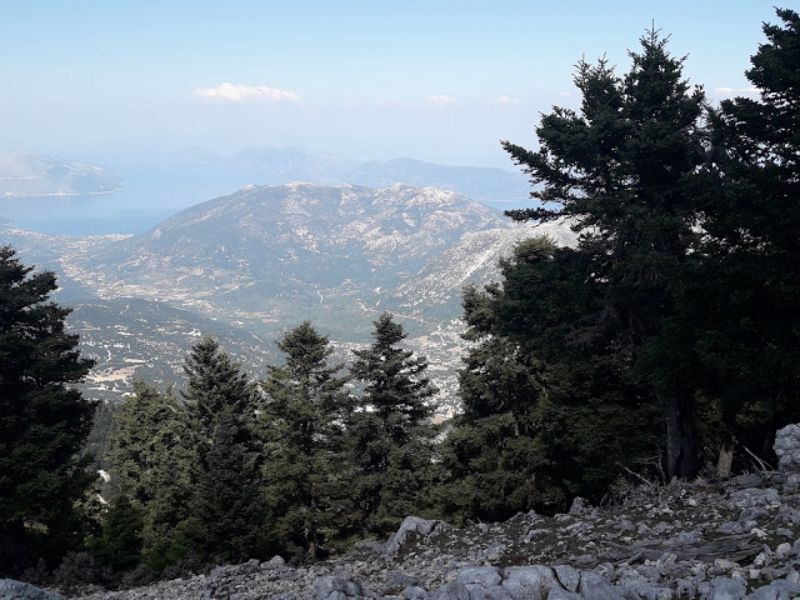 Απαγόρευση κυκλοφορίας στον Εθνικό Δρυμό Αίνου – Iδιαίτερα αυξημένος ο κίνδυνος εκδήλωσης πυρκαγιάς