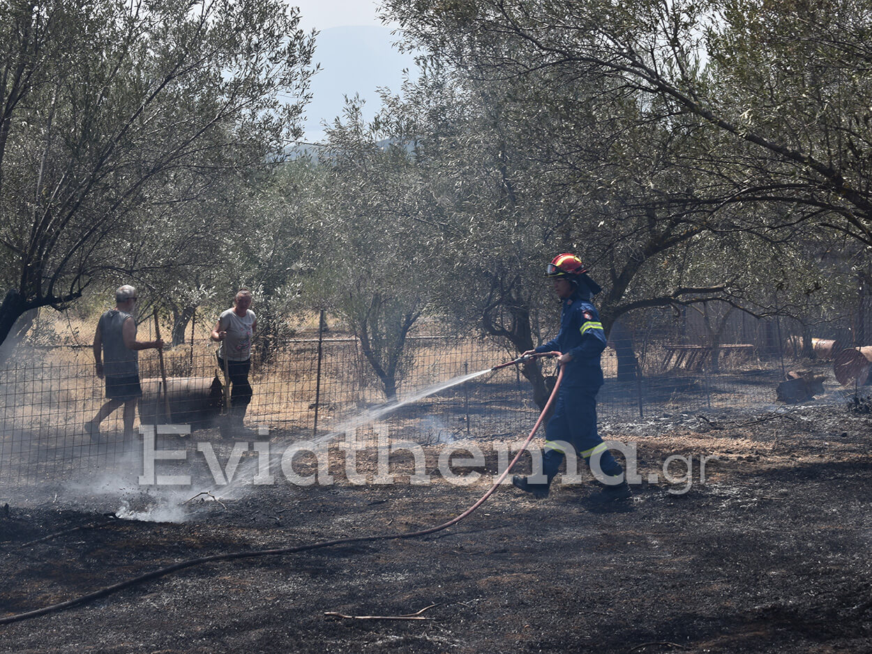 Φωτιά στην Εύβοια: Κάηκαν πάνω από 150 σπίτια και 20