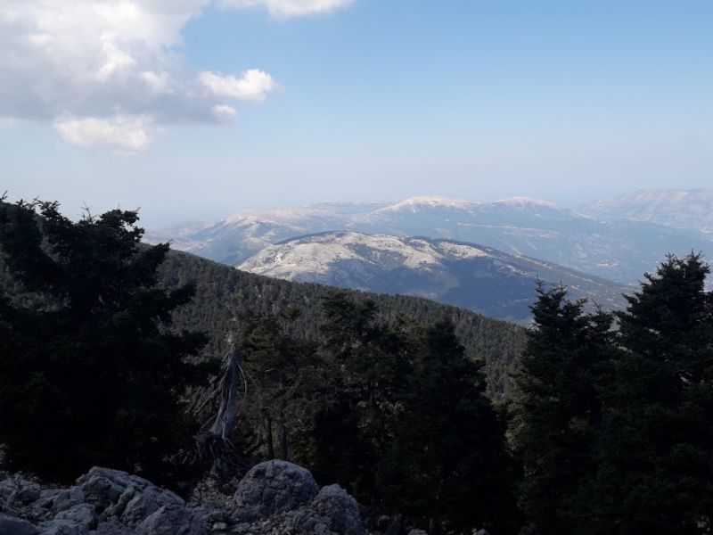 Κρούσματα βανδαλισμών στην κεντρική πύλη του Εθνικού Δρυμού Αίνου