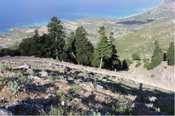 Παραμένει κλειστός ο Αίνος έως 20 Αυγούστου -Αυξημένος ο κίνδυνος πυρκαγιάς