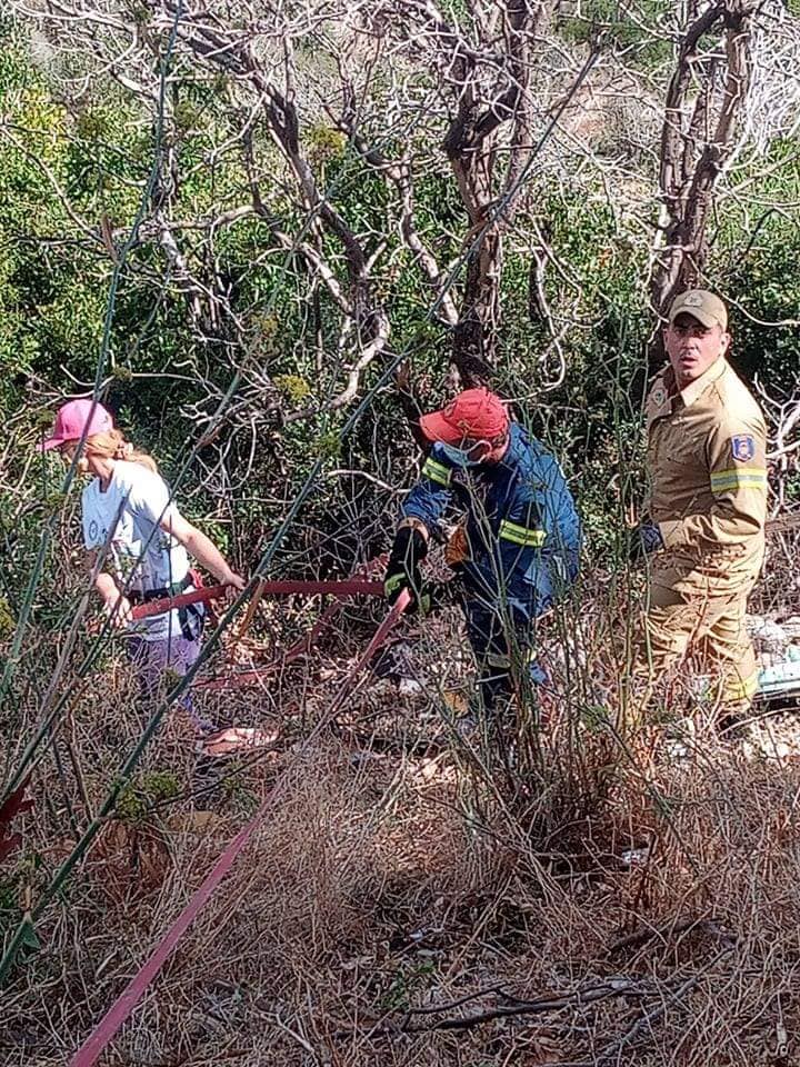 Κρεμμύδι: Διάσωση σκυλίτσας με τη συμβολή της πυροσβεστικής [εικόνες]