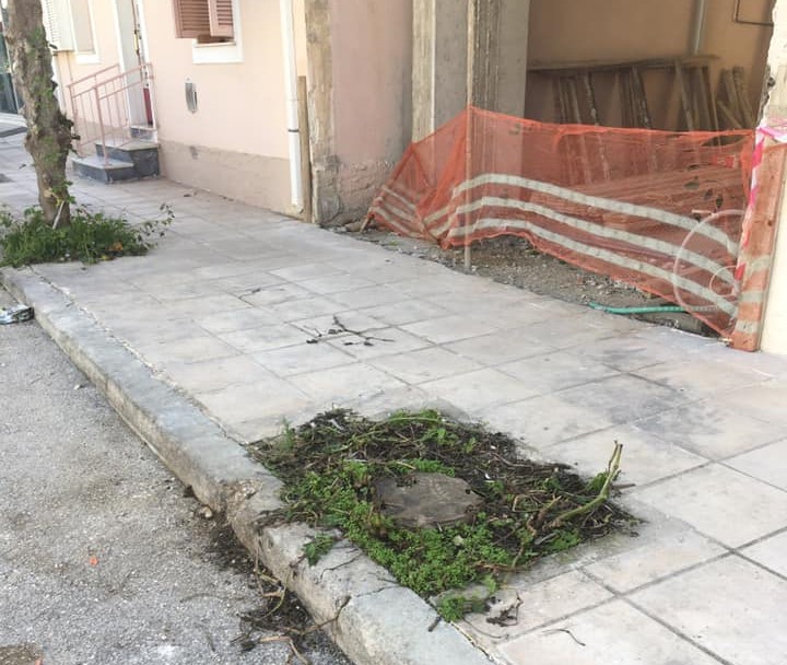 Αργοστόλι: Το αστικό πράσινο έρμαιο στα χέρια επιτήδειων