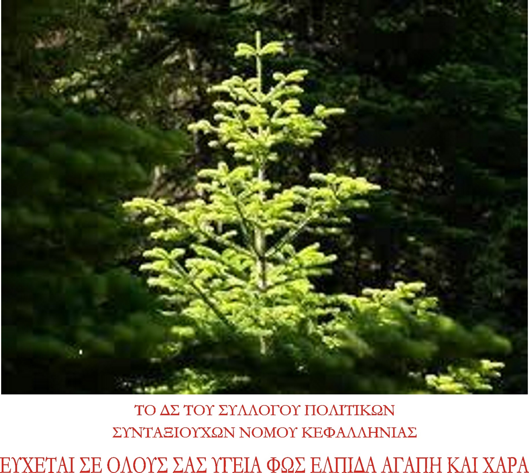 Ευχές του Συλλόγου Πολιτικών Συνταξιούχων Κεφαλονιάς