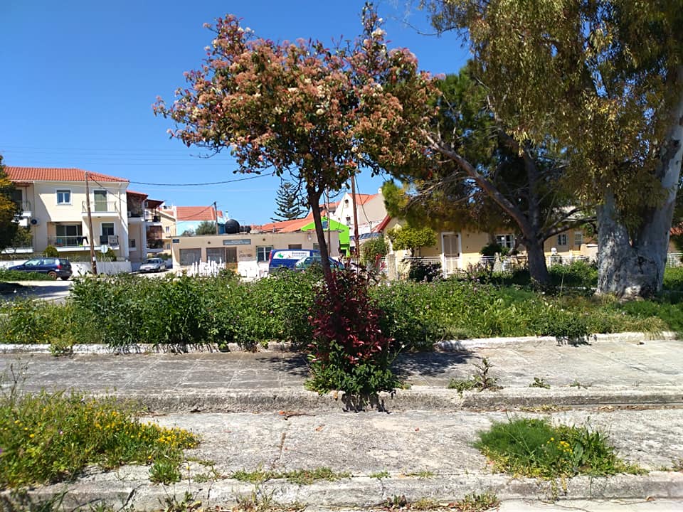 Λαϊκές Κατοικίες: Εορταστικό σκοτάδι