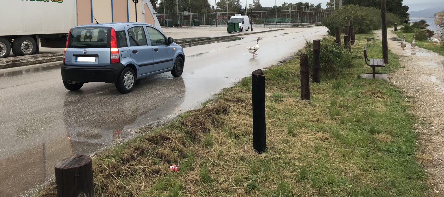 Οι πάπιες του Κουτάβου χαιρετάνε τον …Σαμούρη! [εικόνες]