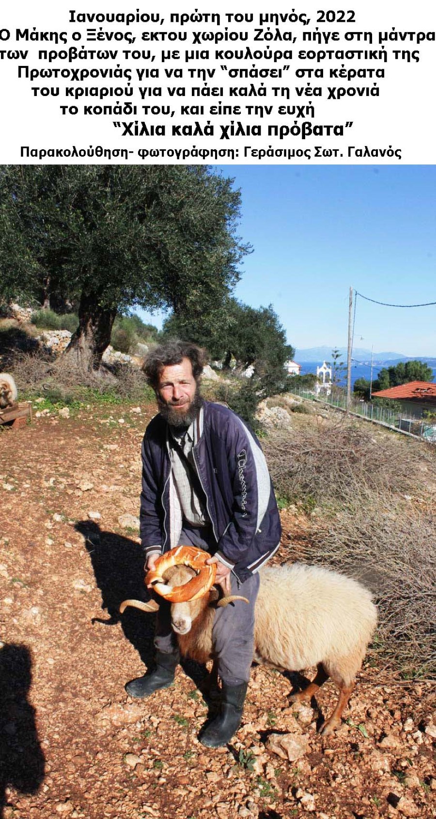 Ανήμερα την Πρωτοχρονιά, οι χωρικοί και οι τσοπαναραίοι στην Κεφαλονιά… «εθιμοτυπούσαν» για την οικιακή οικονομία τους