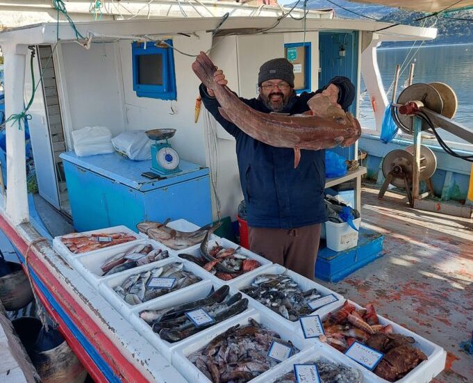 Αργοστόλι: Πρωινή βόλτα στα ψαροκάικα -Η τεράστια σφυρίδα του Κάπτεν Μιχάλη [εικόνες]