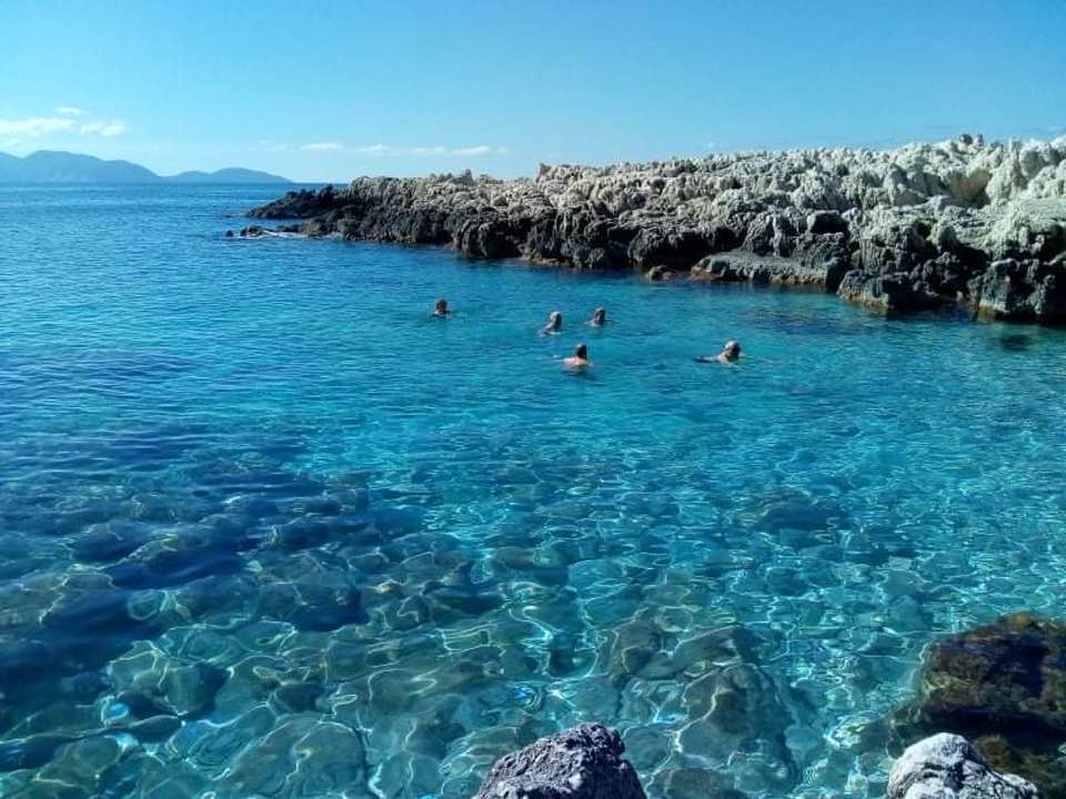 Κόψανε τη βασιλόπιτα τους οι χειμερινοί κολυμβητές στην Ερύσσου [εικόνες]