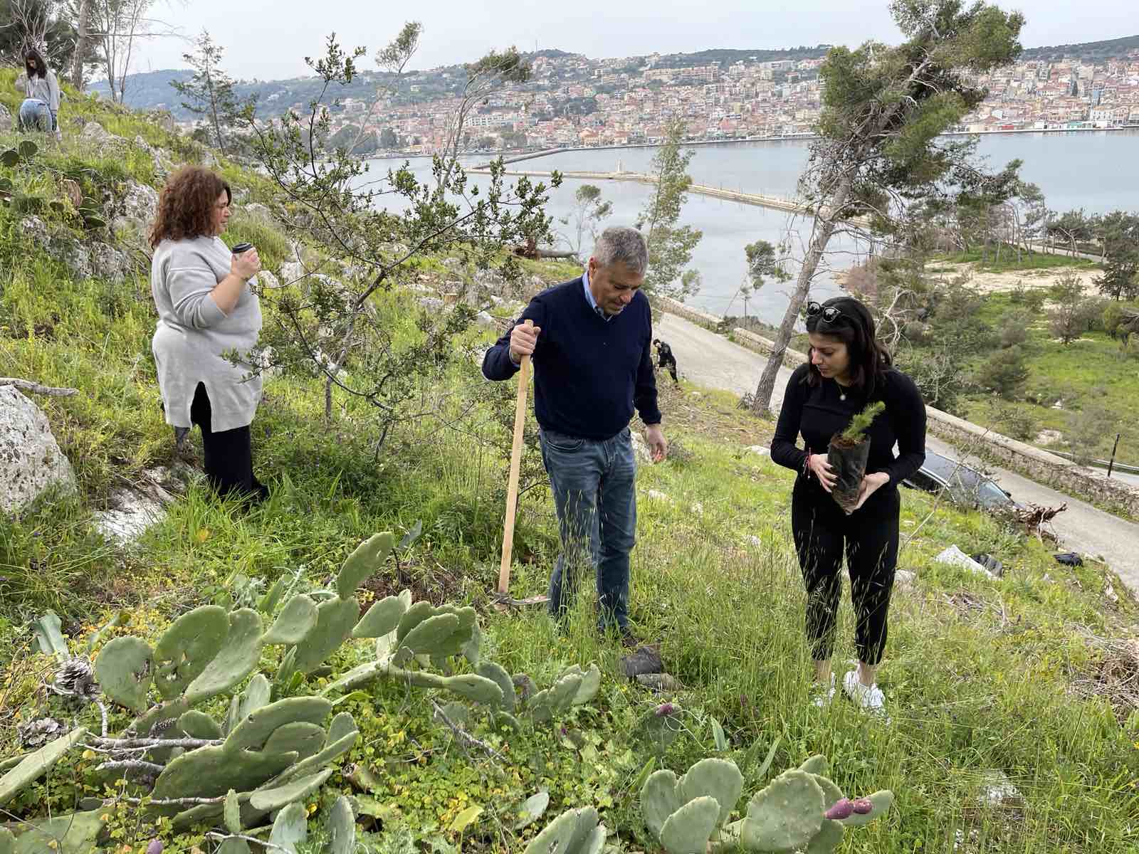 Αναδάσωση Βοηθάμε τον Τόπο μας να μας Δίνει Ζωή