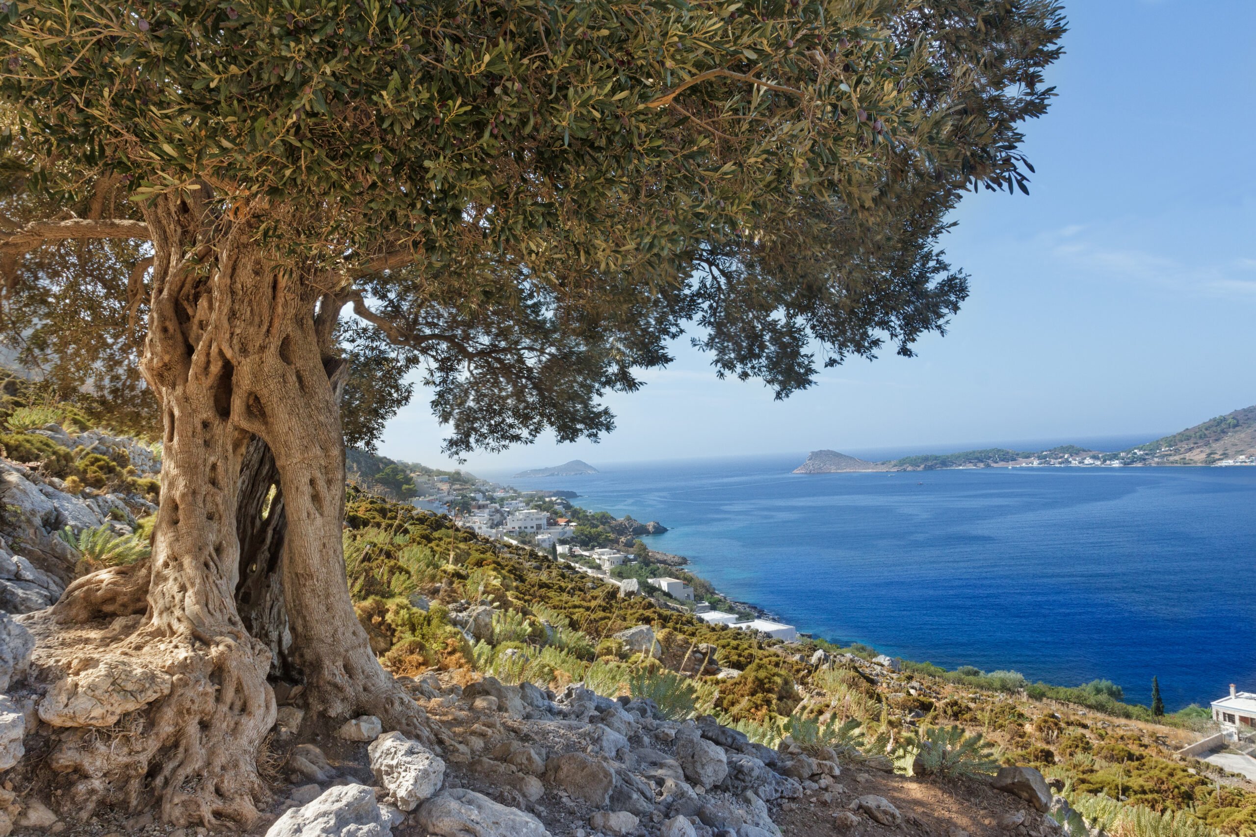 Επιστροφή στην Άνοιξη