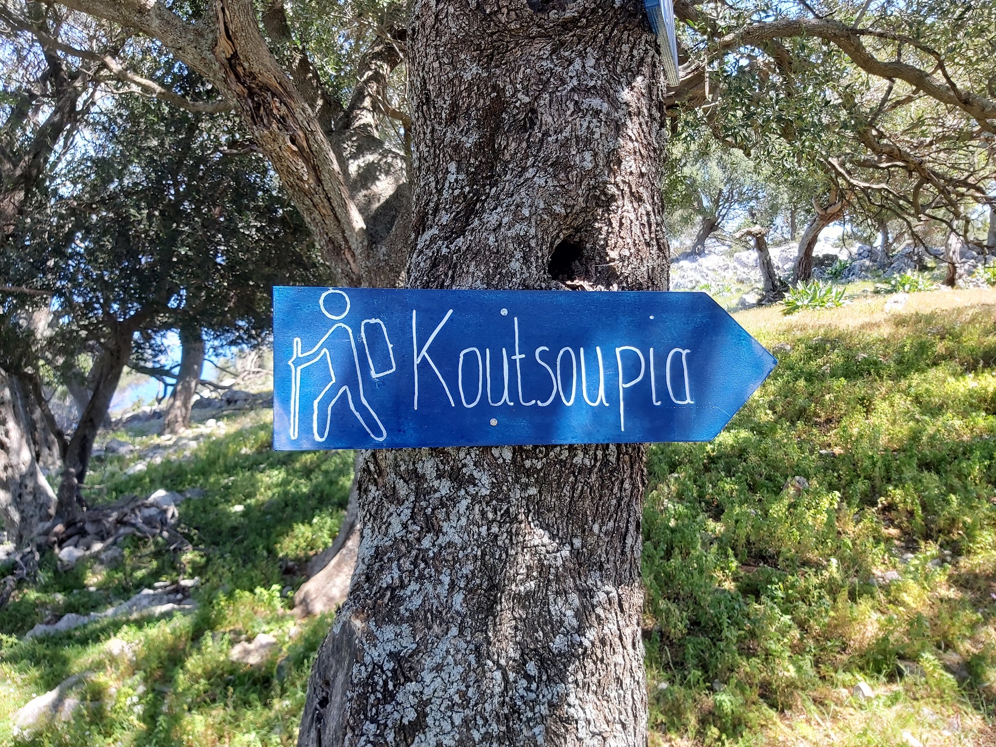 Ανακάλυψε τις πεζοπορικές διαδρομές της Σάμης