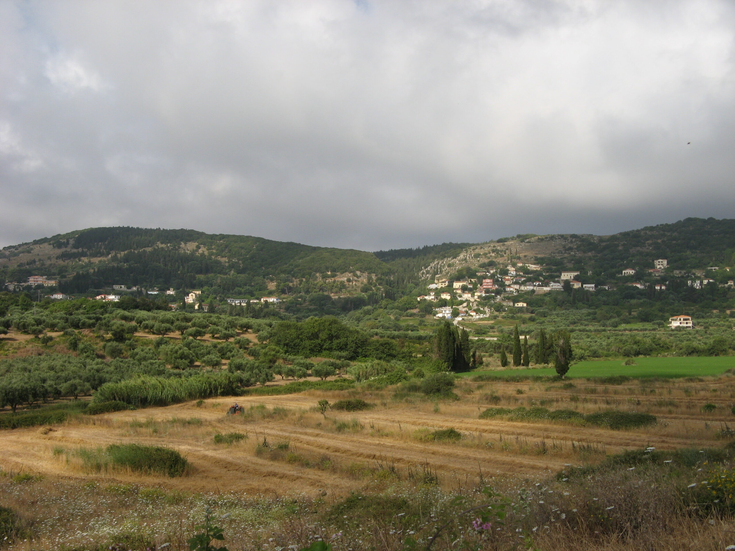 Ένσταση στην απόφαση του Δημοτικού Συμβουλίου Αργοστολίου για ονοματοδοσία δρόμου στα Κοντογουράτα: «προσβάλλει με σκανδαλώδη τρόπο τη νοημοσύνη μας»