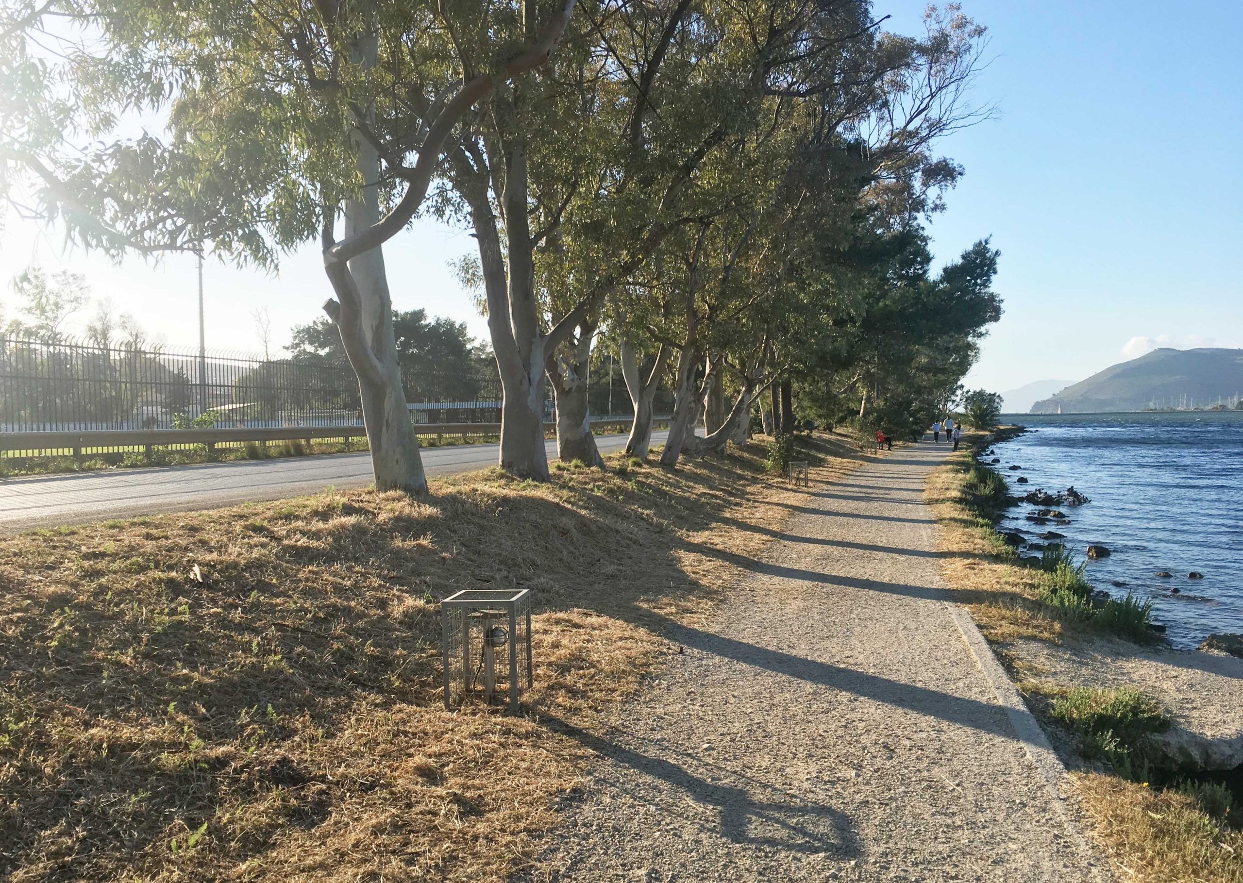 Καθαρισμός της Λιμνοθάλασσας του Κουτάβου