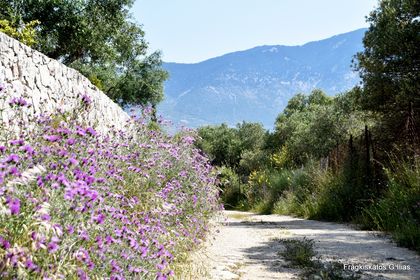 Μεγάλη προσοχή: Η ζέστη μας λόγγωσε, κίνδυνος πυρκαγιών το καλοκαίρι