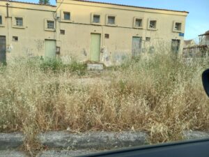 Μετά τη γκετοποίηση και η …ζούγκλα καλά κρατεί!