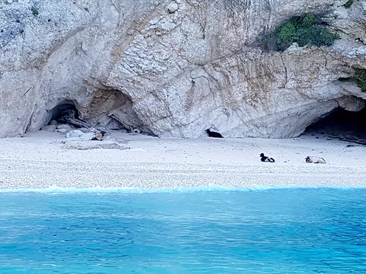 Καιρός: Συνεχίζεται ο καύσωνας -Ποιες περιοχές θα φτάσουν τους 42 βαθμούς Κελσίου