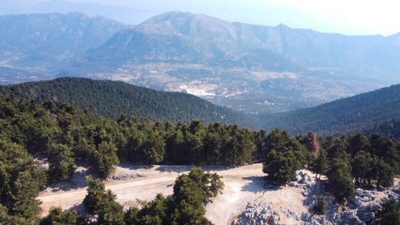 Παναγής Καππάτος: Παράταση για την υποβολή αντιρρήσεων επί του περιεχομένου των δασικών χαρτών για 16 ημέρες