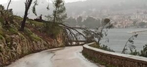 Στην Κεφαλονιά και την Ιθάκη οι δρόμοι είναι επικίνδυνοι από τα χόρτα και τα δέντρα.