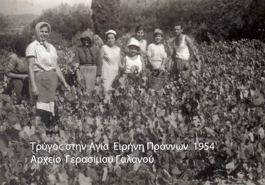 trugos_1954_agia_eirhnh