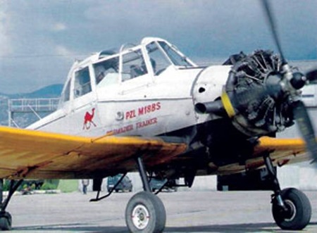 pzl2