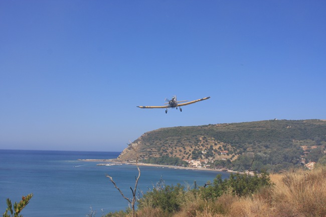 Στέργιος Κωτούλας φωτογραφία