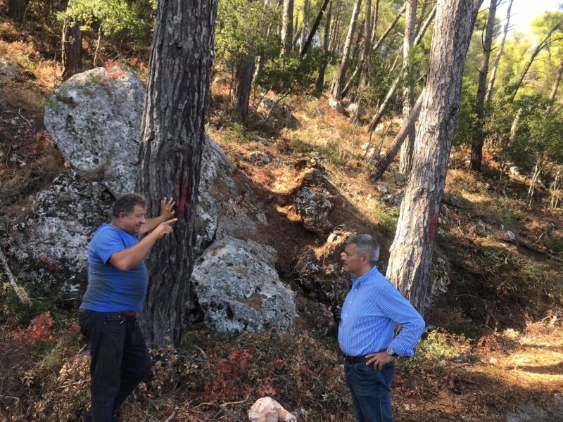 Παναγής Καππάτος: Ολοκληρώθηκαν για πρώτη φορά εργασίες προληπτικού καθαρισμού δασών στην Κεφαλονιά [εικόνες]