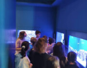 Ionian Aquarium