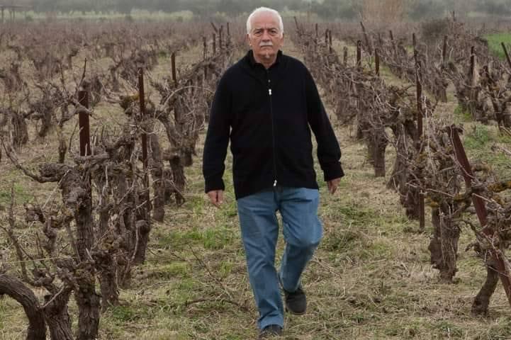 Πολύ μεγάλο διεθνές αφιέρωμα στην Κεφαλονιά και στο οινοποιείο Φοίβος από την Jancis Robinson στο Ηνωμένο βασίλειο