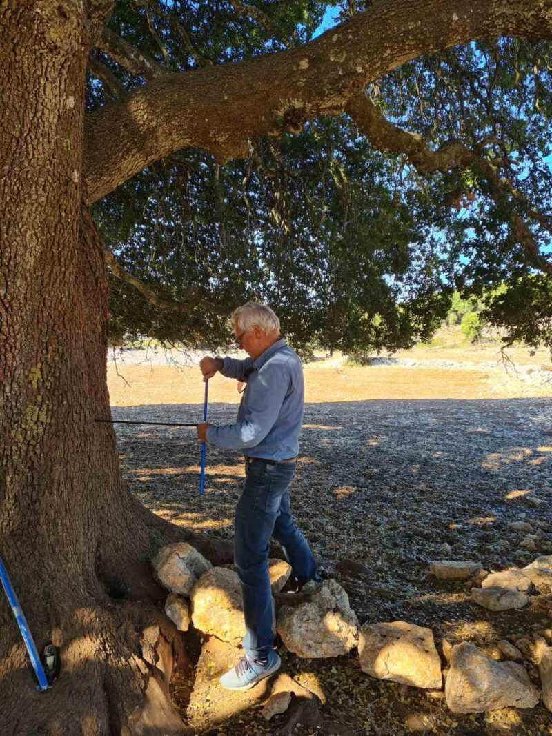 Βοτανικός Κήπος: Εκτίμηση της ηλικίας αιωνόβιων βελανιδιών σε Κεφαλονιά και Ιθάκη με σκοπό την ανάδειξη και προστασία τους [εικόνες]