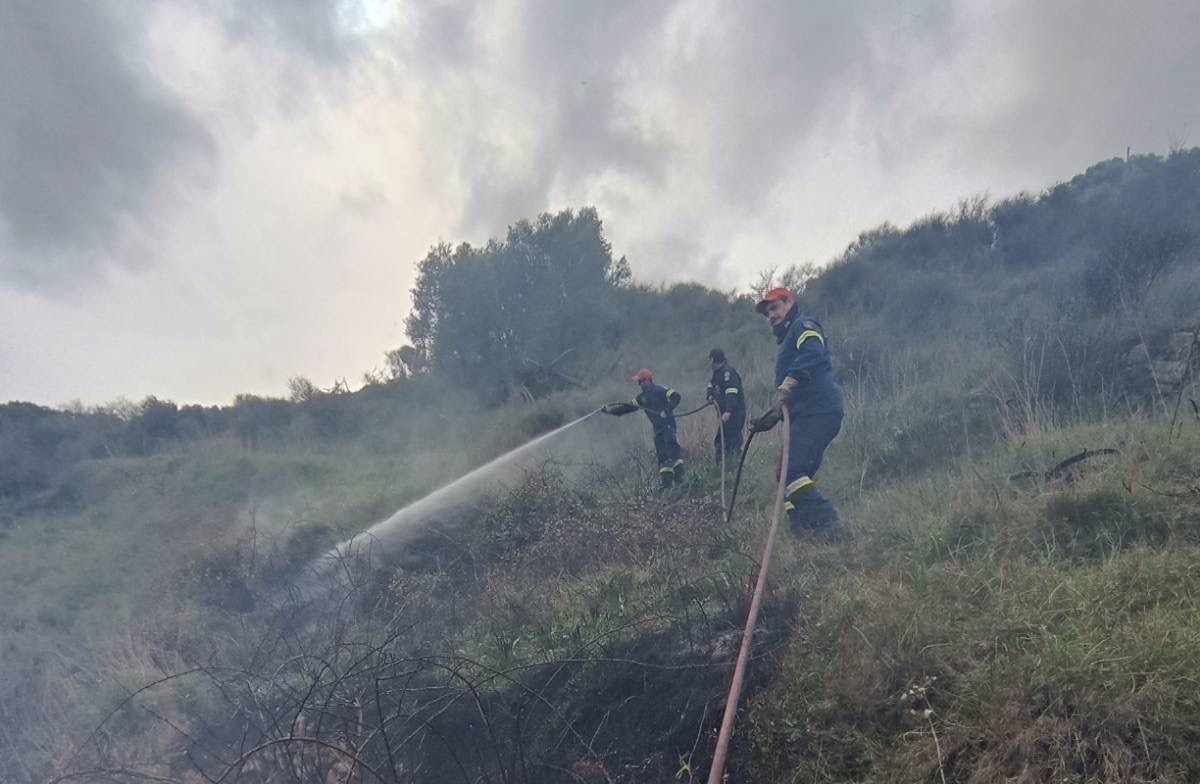 Φωτιά στον Ασπρογέρακα  Άμεση κατάσβεση από εθελοντές και Πυροσβεστική [εικόνες]