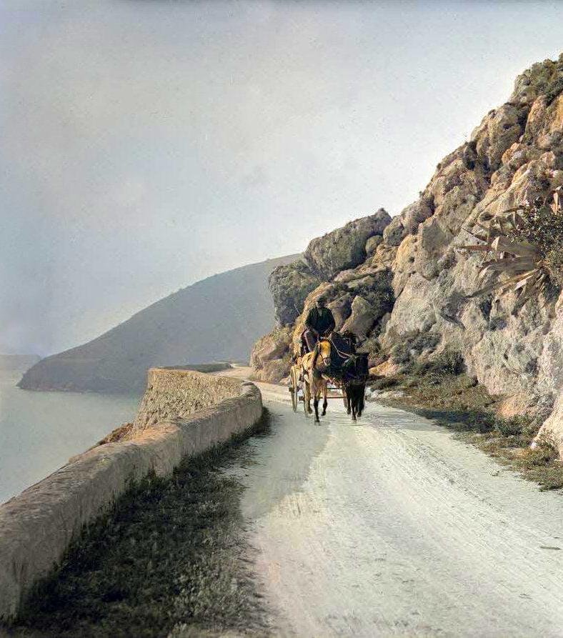 Μια άμαξα στο δρόμο Φάρσα –Αργοστόλι [εικόνα]