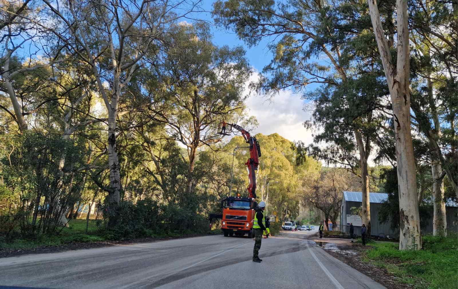 Συντήρηση χώρων στο επαρχιακό μας δίκτυο