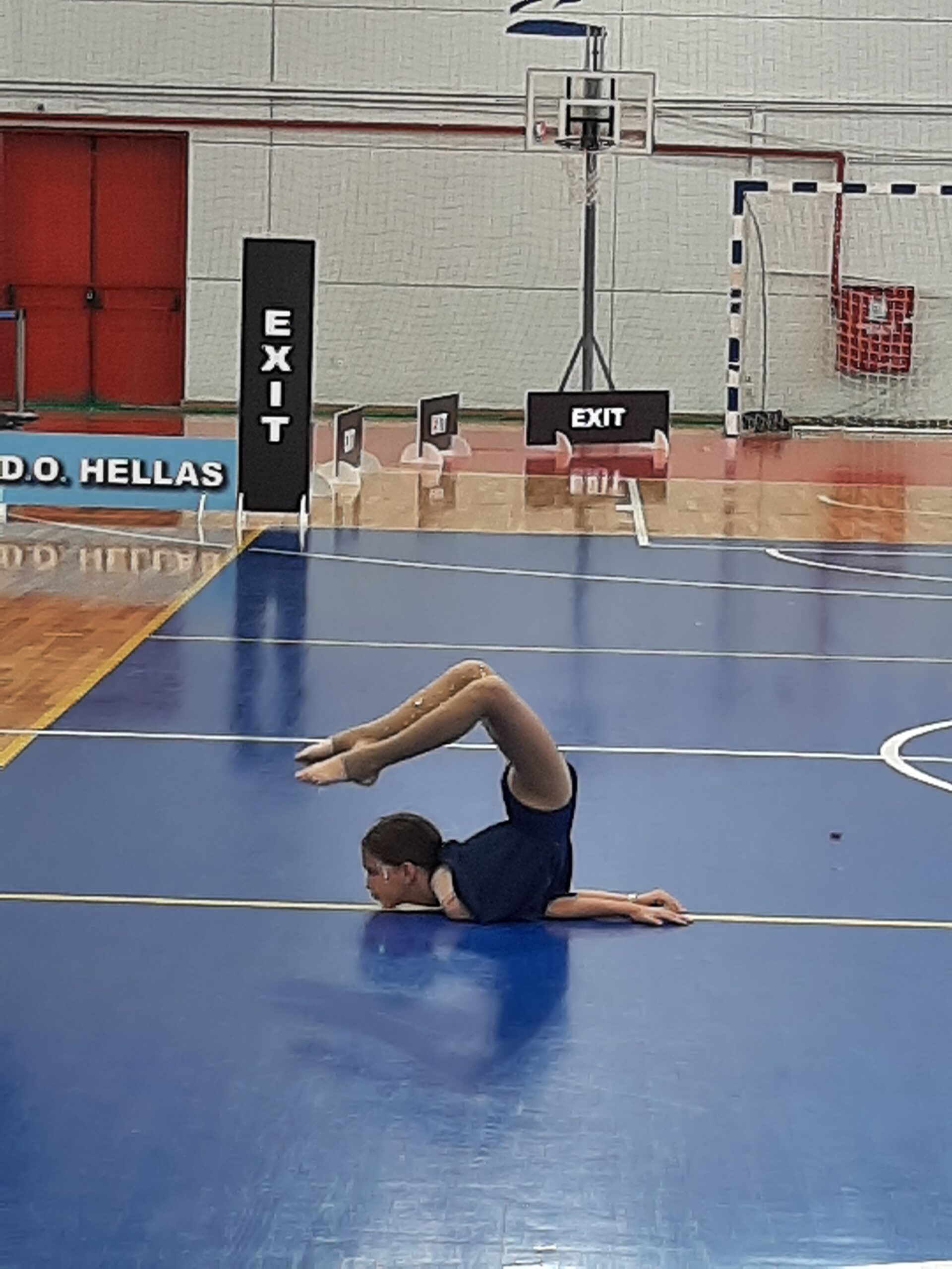 Κατόρθωσε να διακριθεί οκτώ φορές στην 1η θέση και δυο φορές στην 2η θέση.