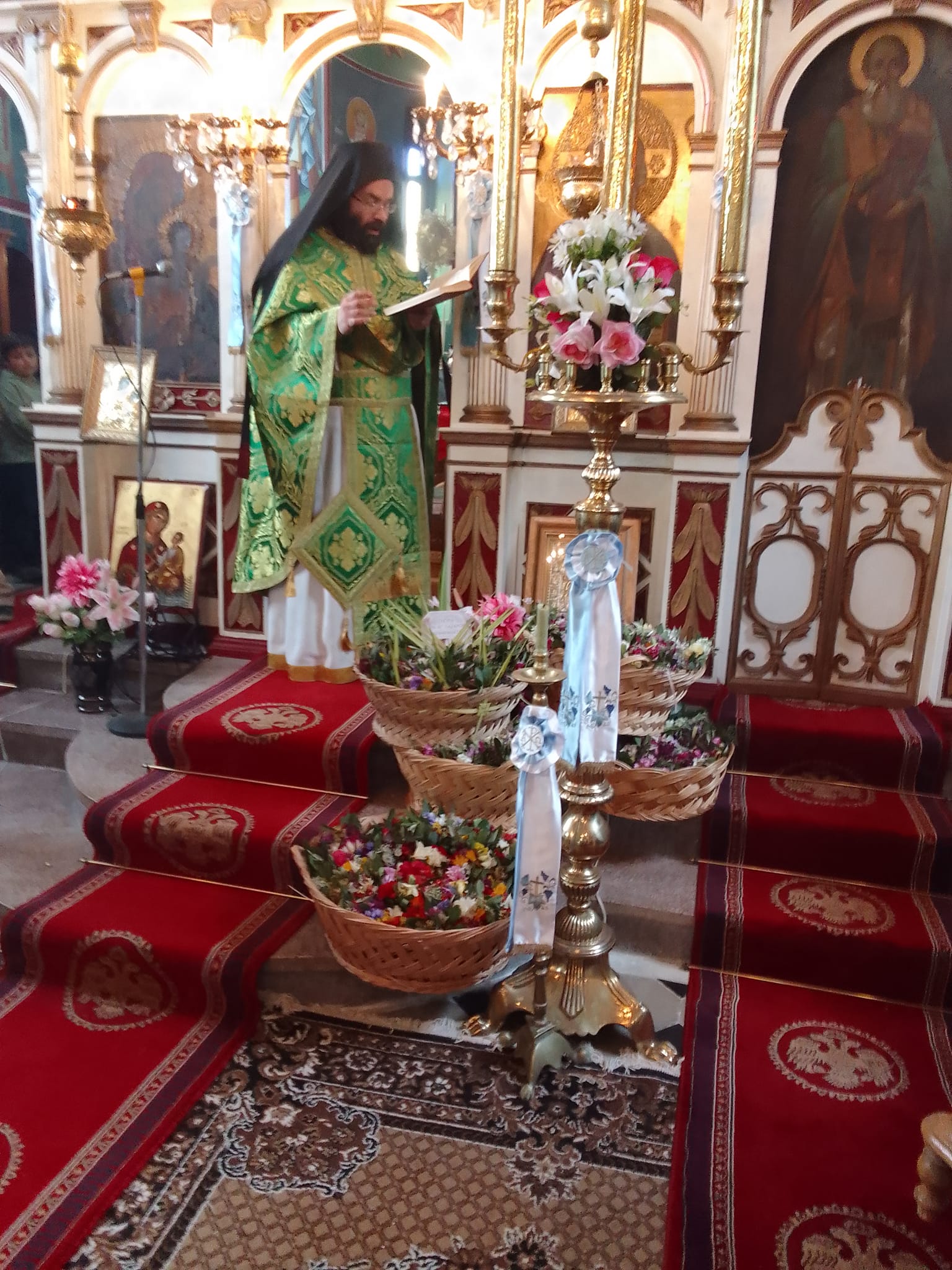 Κυριακή των Βαϊων στα Μεσοβούνια Ερίσου [εικόνες]