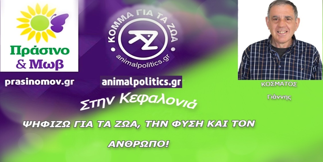 Ο Γιάννης Κοσμάτος υποψήφιος βουλευτής με το κόμμα “Πράσινο & Μωβ”