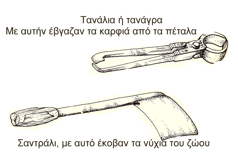 Το πεταλωτήριο του Μαρτίνα: Σπύρος, Μπάμπης και Λέανδρος Σοφιανοί οι πεταλωτές του Ληξουρίου [εικόνες]