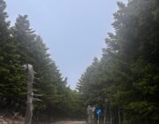Καθαρισμός επαρχιακού οδικού δικτύου Αίνου….