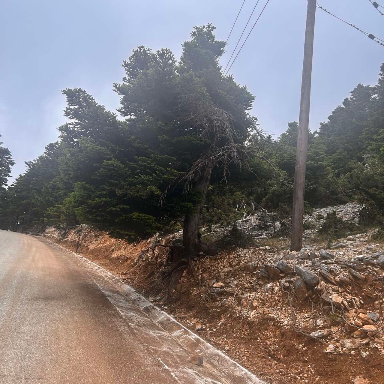 Καθαρισμός φερτών υλικών από την Περ