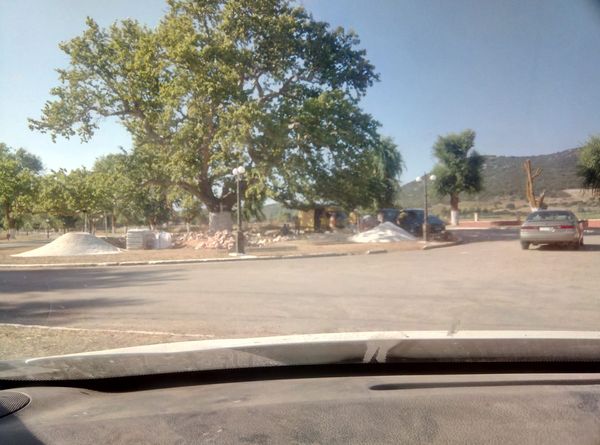 Χαμός στον πλάτανο του Αγίου μας