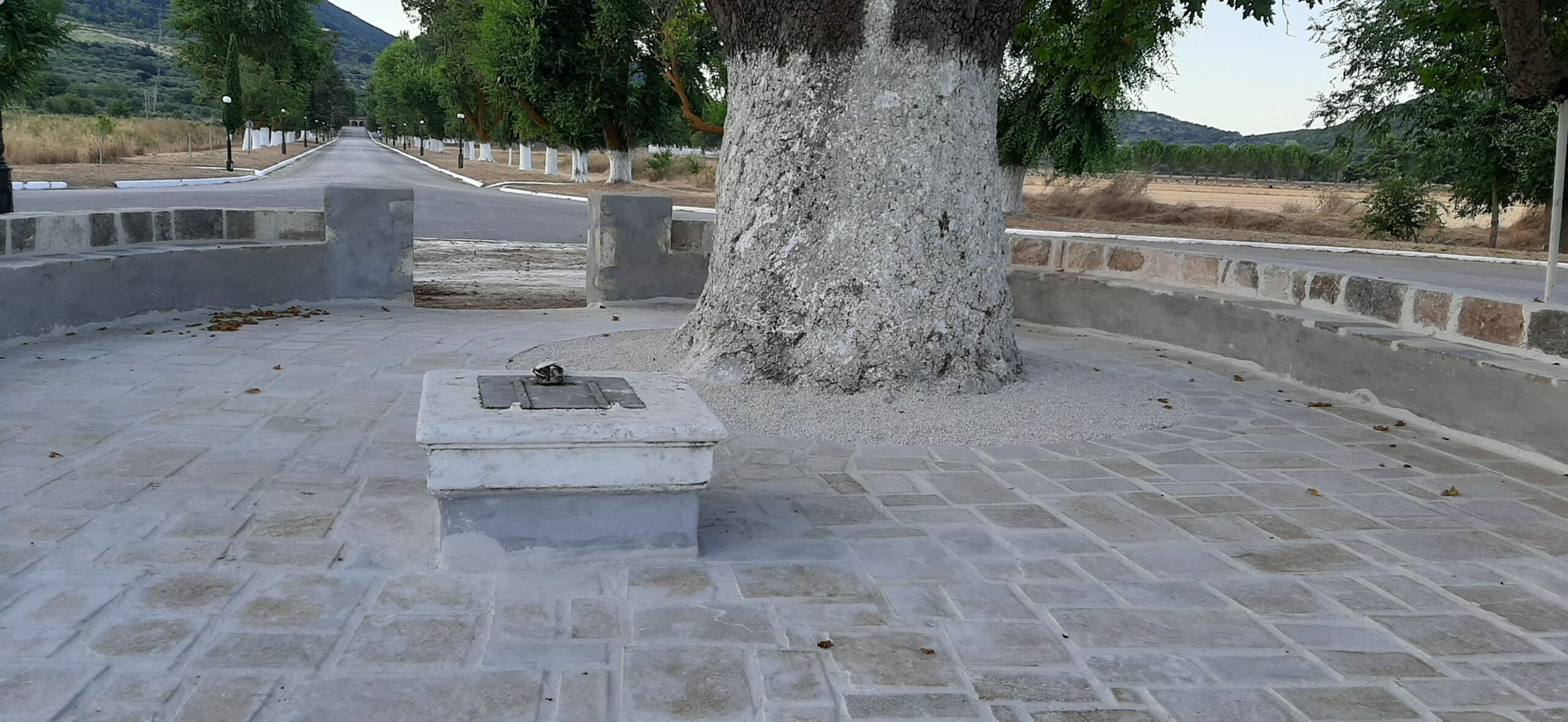 Η νέα εικόνα στον πλάτανο του Αγίου Γερασίμου μετά την πρόσφατη ανακατασκευή