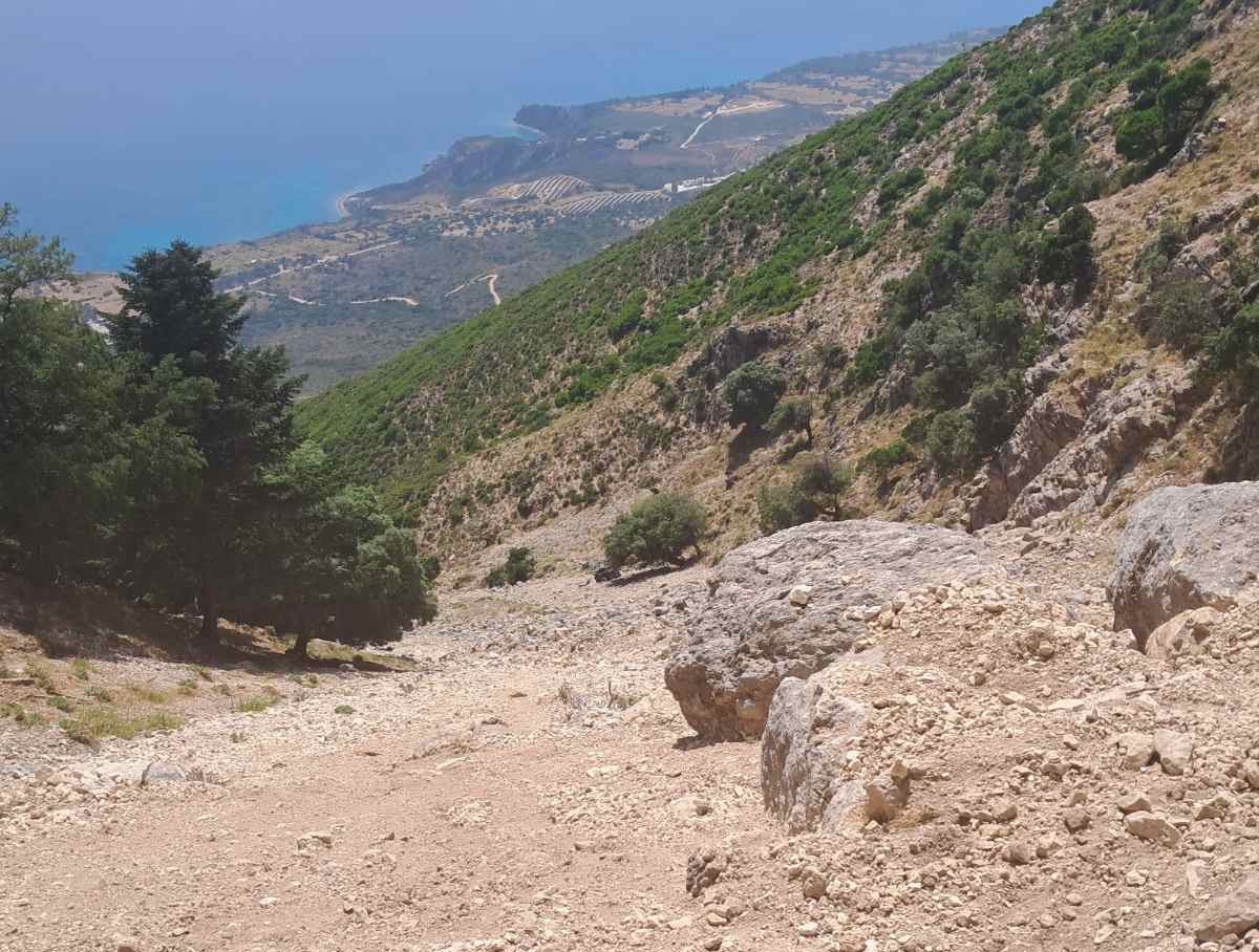 Πως έγινε το συμβάν με τον άτυχο Ντίνο Βαββάση στον Αίνο  Τι αναφέρει η αστυνομία