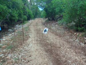 Δεν χρειάζεται να αναφέρω για στάχτη και μπούρμπερη…..