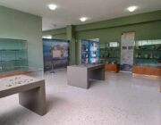 Στα ίχνη του Ομήρου