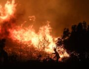 Από τη στάχτη στη λάσπη…