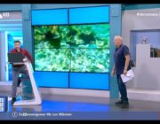 Καλοκαιρινές εικόνες από την Σκάλα και τον Πόρο Κεφαλονιάς στην εκπομπή του Νίκου Μάνεση!