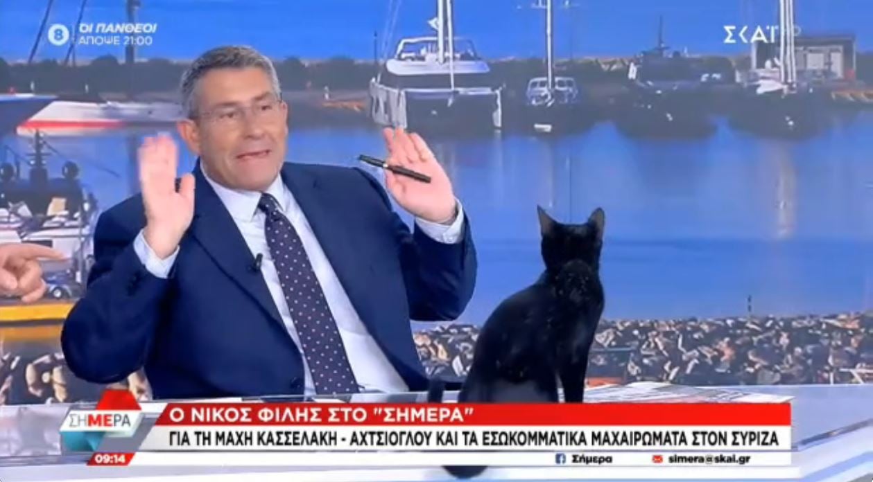 Μαύρη γάτα «εισέβαλε» στο στούντιο του ΣΚΑΪ την ώρα της εκπομπής –Η αντίδραση του Άκη Παυλόπουλου [βίντεο]